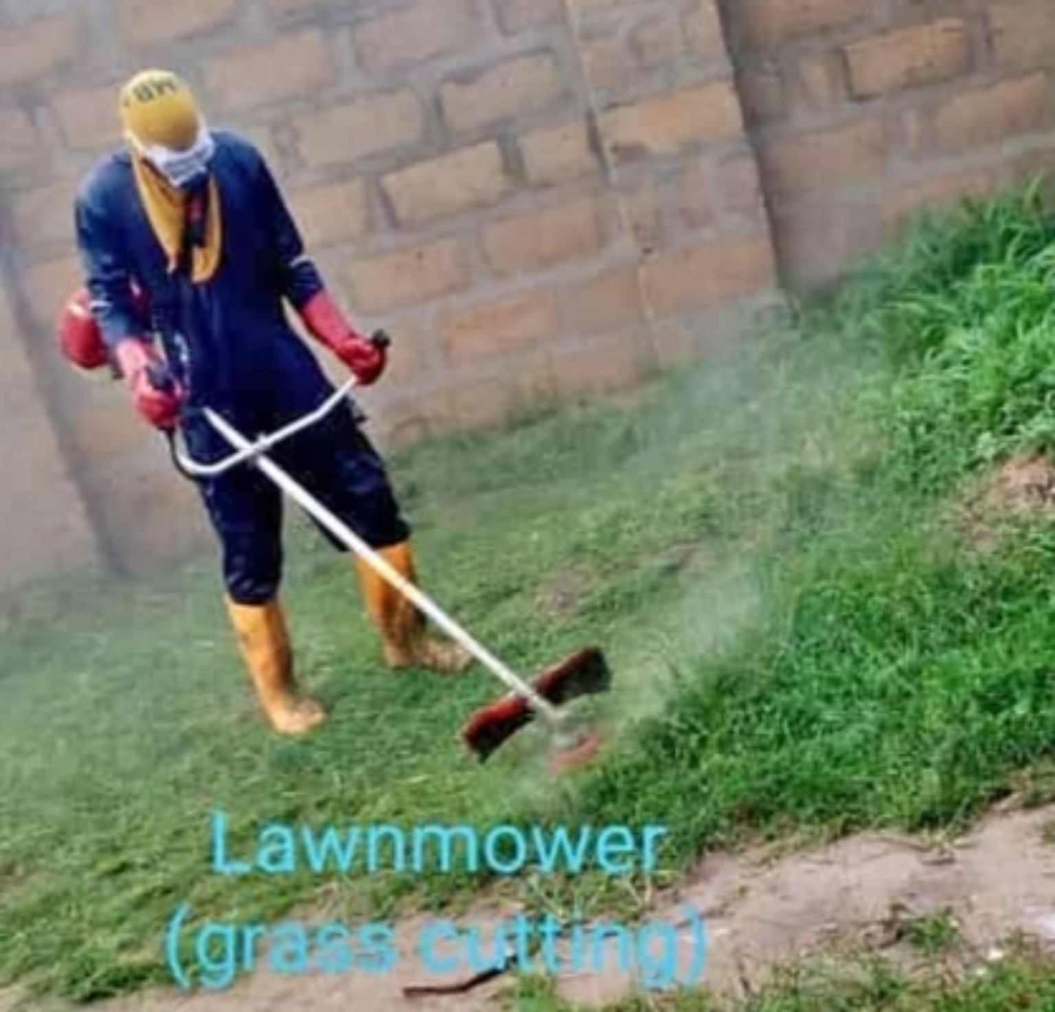 Lawn and grass cutting service